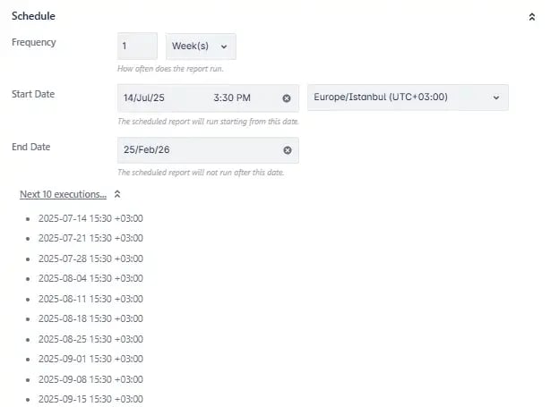 Easily schedule your report and set its frequency.
